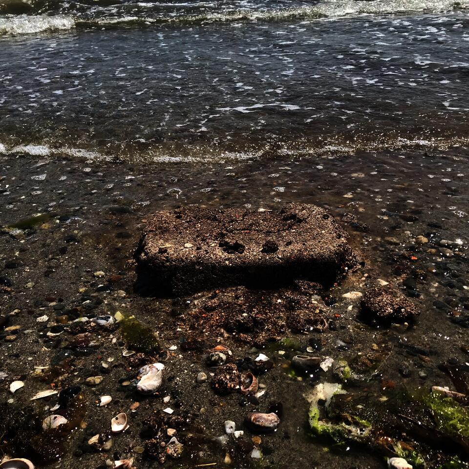 Image of crushed shell material form in the sand at the beach.