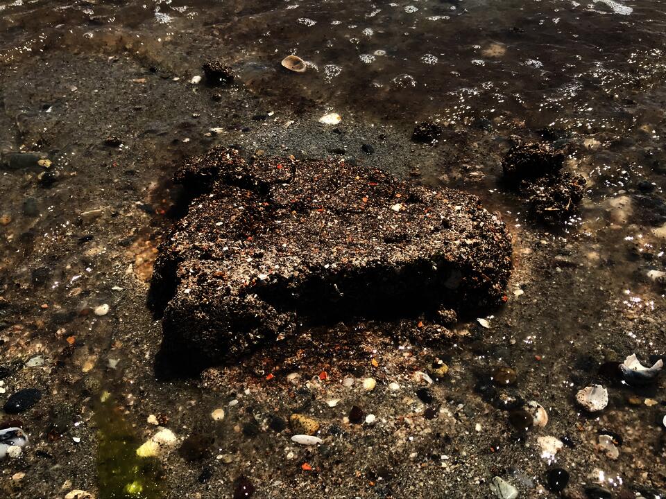 Image of crushed shell material mound on sand at a beach