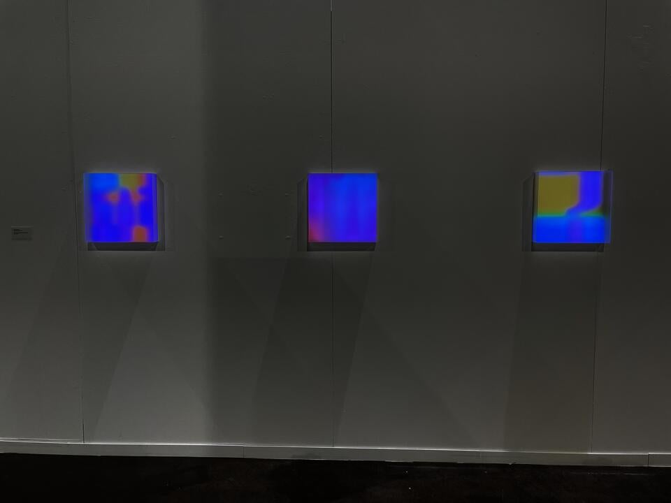 Photo documentation of installation featuring three light boxes.