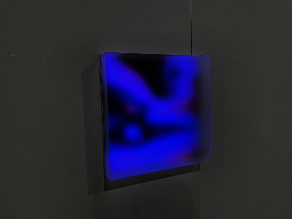 Photo documentation of installation featuring a close-up of one of the three light boxes.
