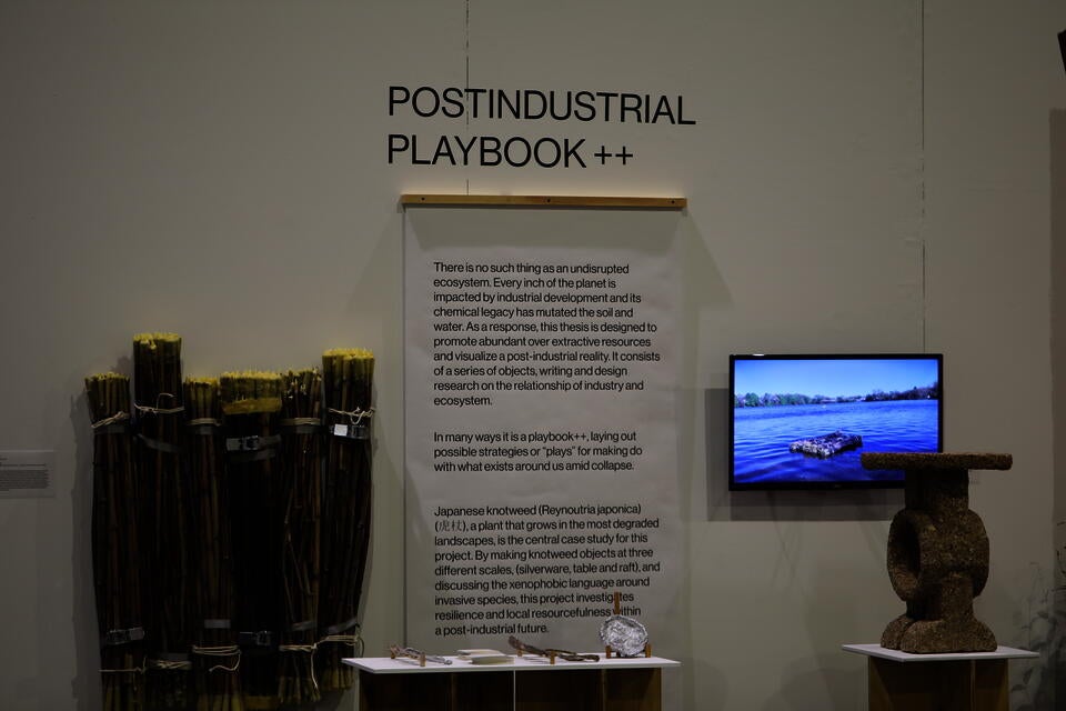 Installation view