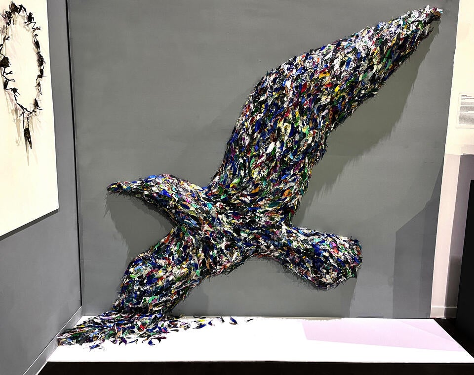 The complete picture of a bird shape