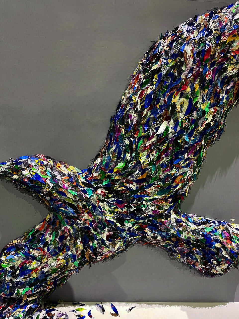 A partial picture of a bird shape