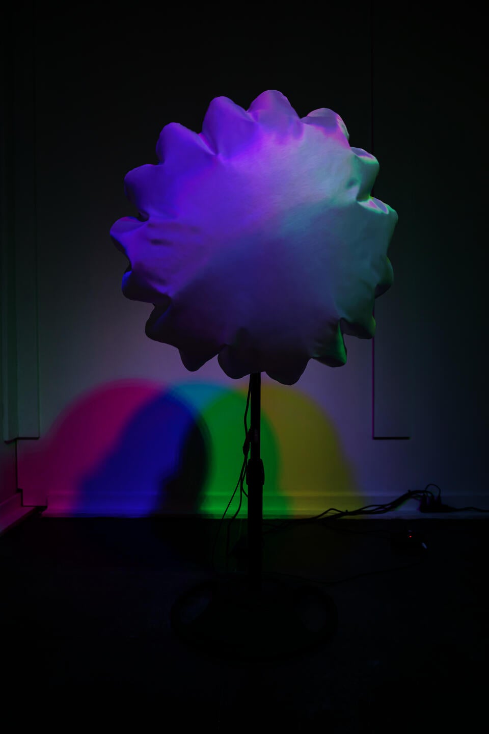 White fabric is attached to a fan and being blown up under colorful light.
