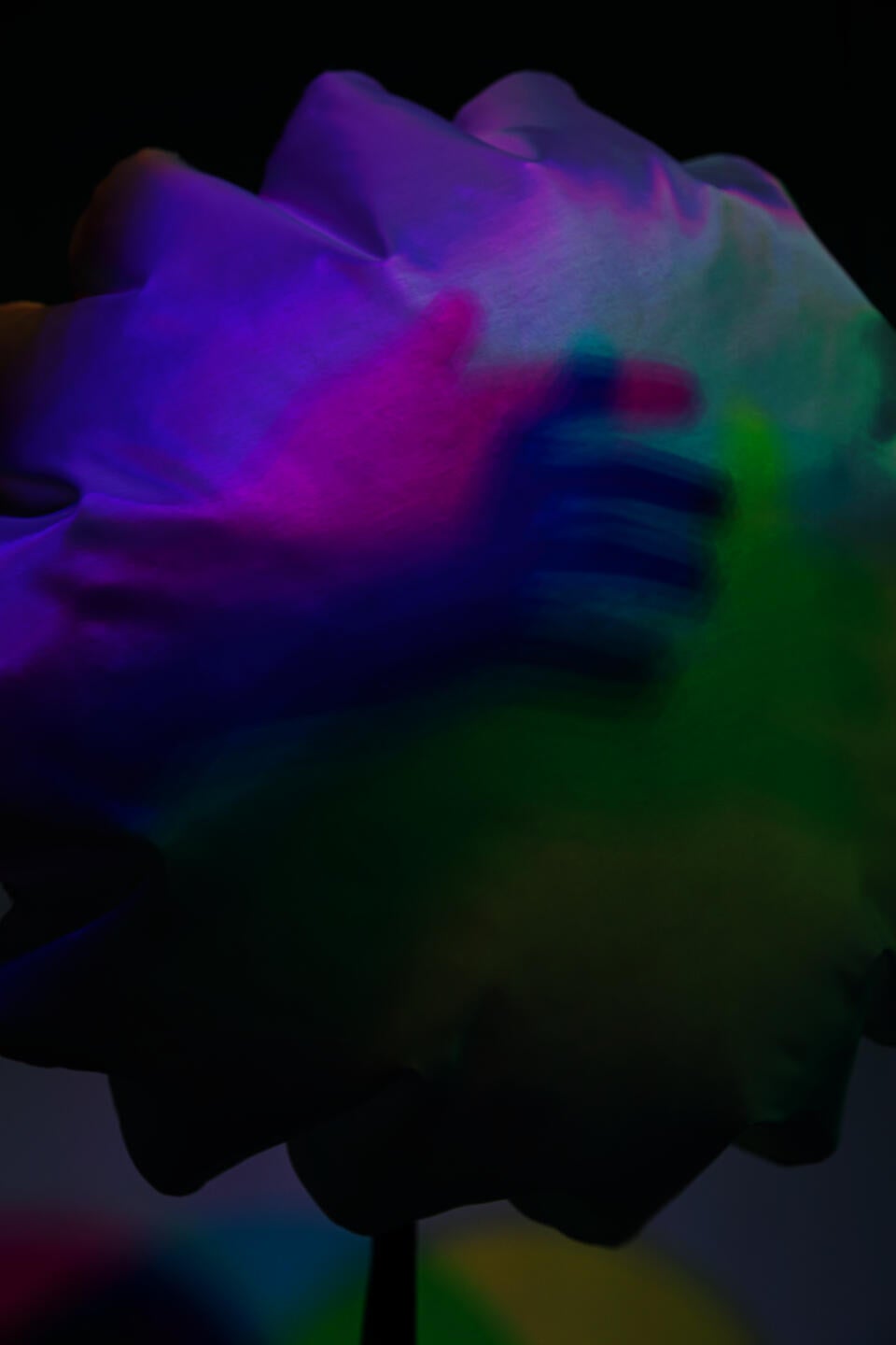 A person interacting with the work.