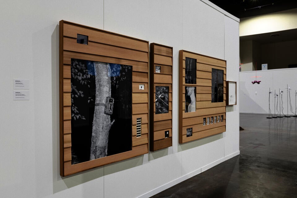 Installation view of framed photographic artworks at the RISD Degree Show 2023