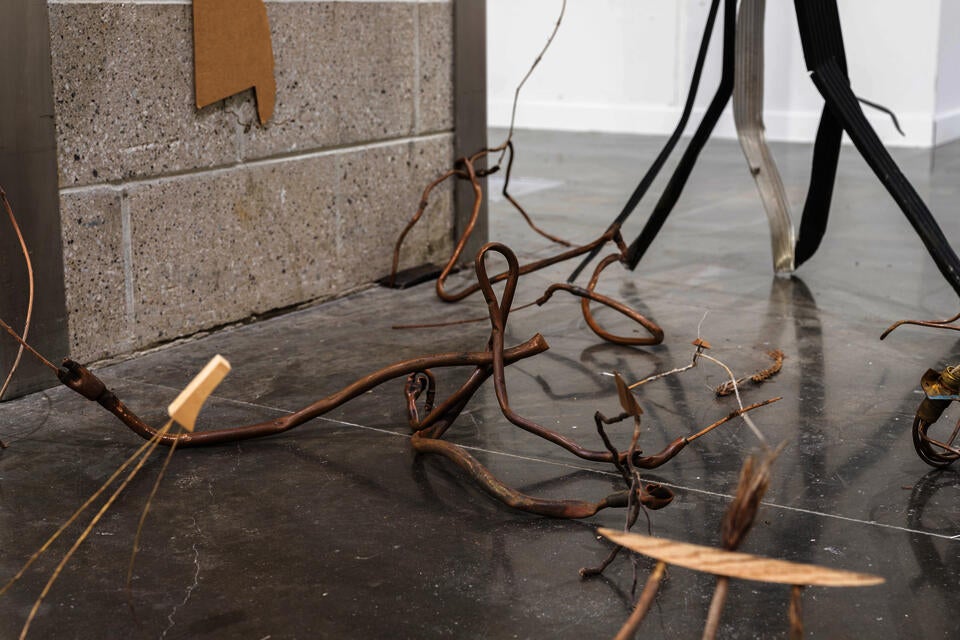 installation view