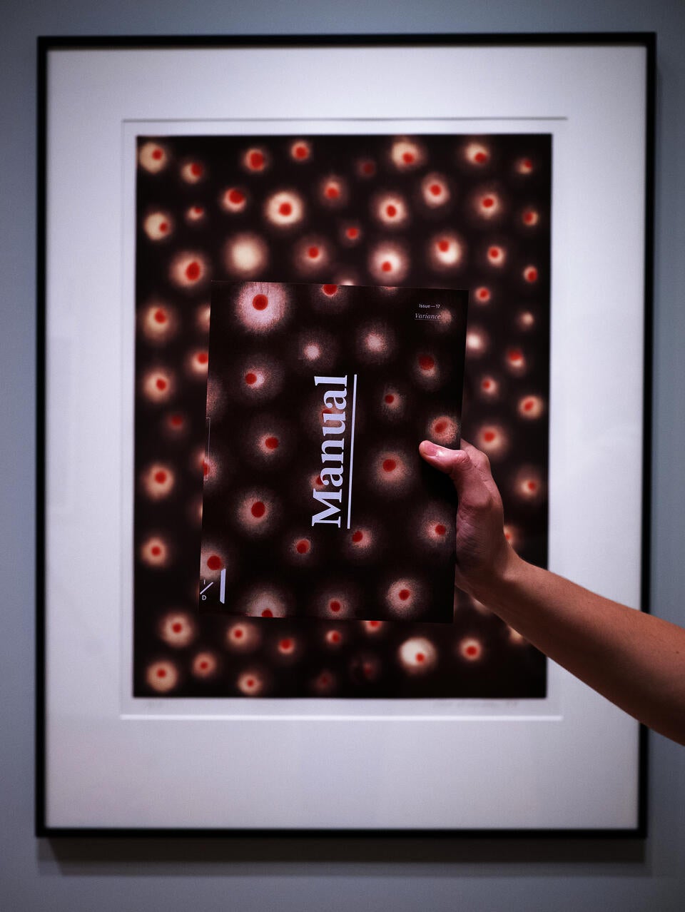 Speculative installation of a decaying biotech ear device
