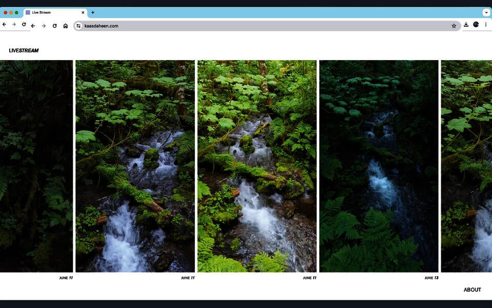 Screenshot of a website that features a scrolling carousel of recordings of a single stream in Southeast Alaska. 