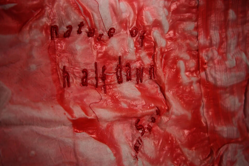 A close up on a quilt with a red, plastic film over it reading " Nature of Half Dawn."
