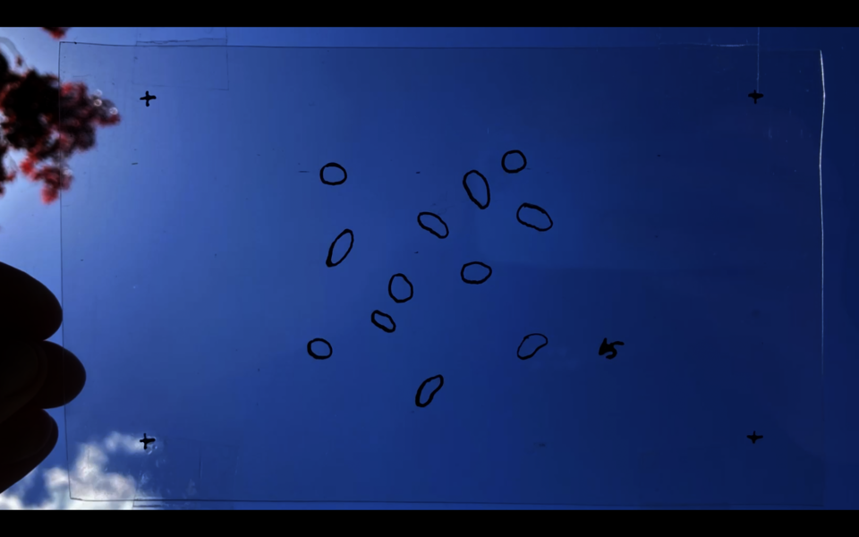 Small ink blobs are drawn on transparency and held up against a blue sky. There is a white cloud in one corner and red maple leaves in another. Fingers are visible holding the piece.