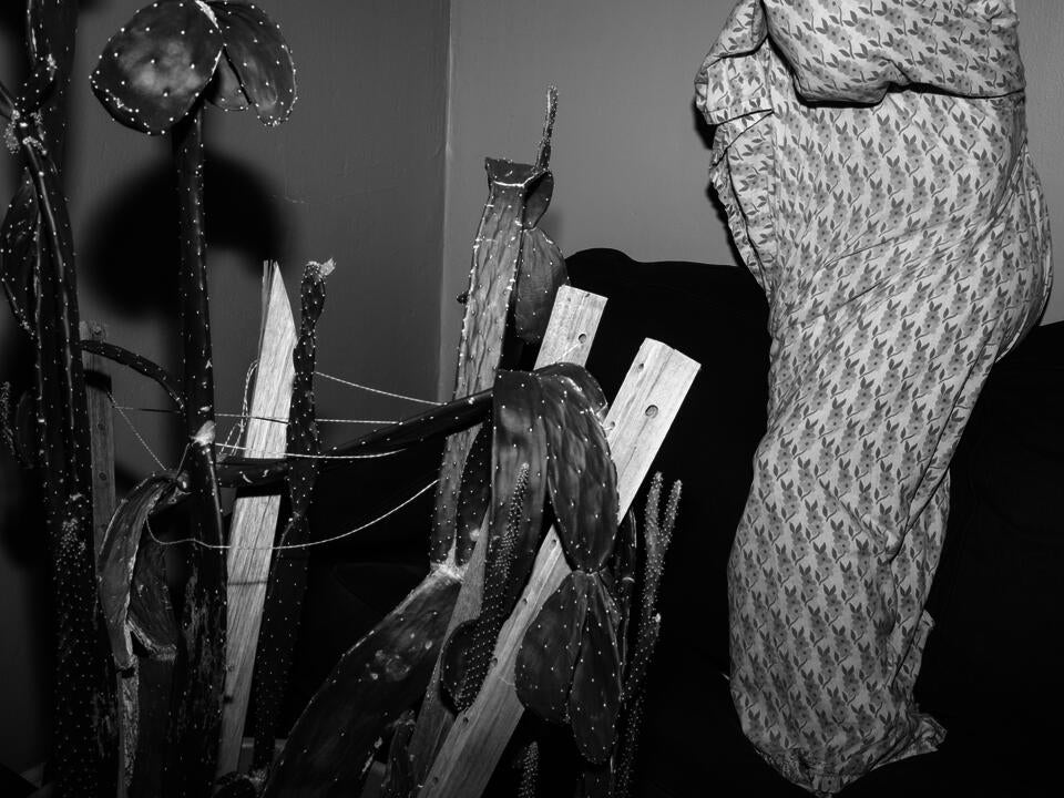 Black and white photograph of a living room, with a person covered on a flowered blanket standing on the sofa, cactus on the left