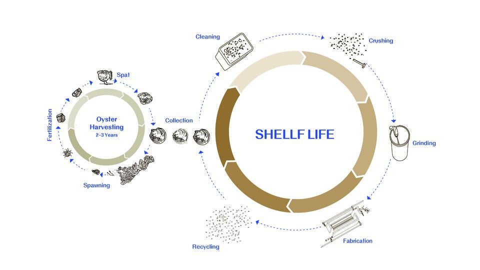 Diagram illustrating the life cycle of oyster shells, from harvesting to processing stages like cleaning, crushing, grinding, and fabrication, before being recycled and returned to the earth as food.