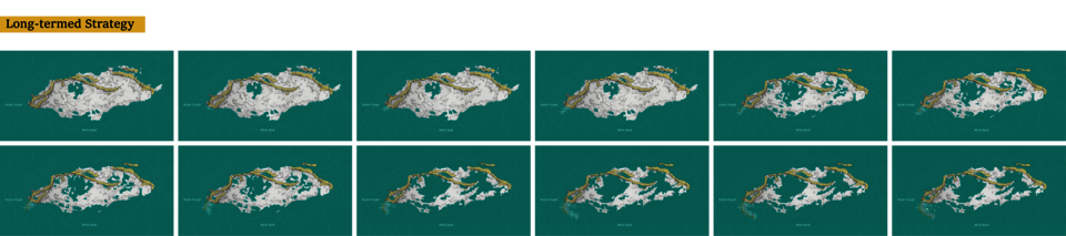 Drawings showing my long-term strategies