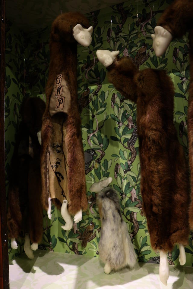 Minks and rabbits hanging inside a cabinet