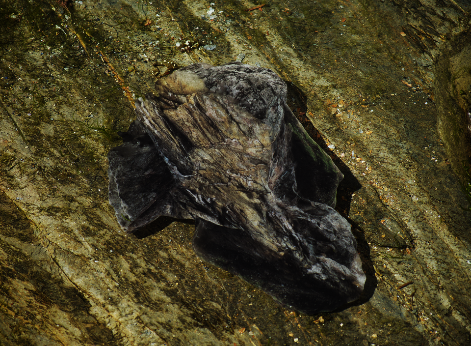 A digital print of 3D scanned rocks is photographed ontop of a tide pool. 