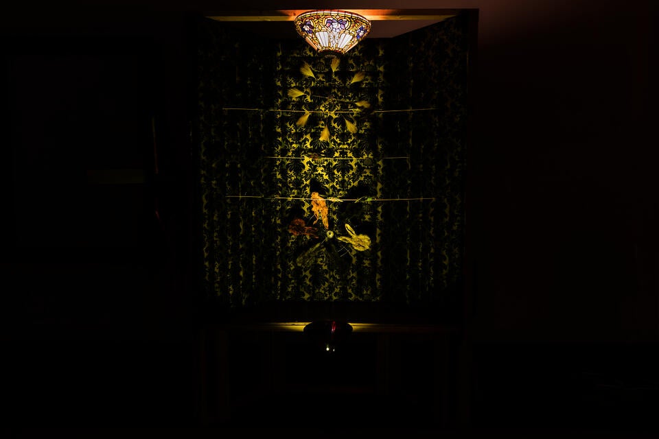 A fabric covered 3 paneled wall the moving rabbit maks, and spinning taxidermy birds moving throughout. A faux tiffany lamp emits a yellow light.
