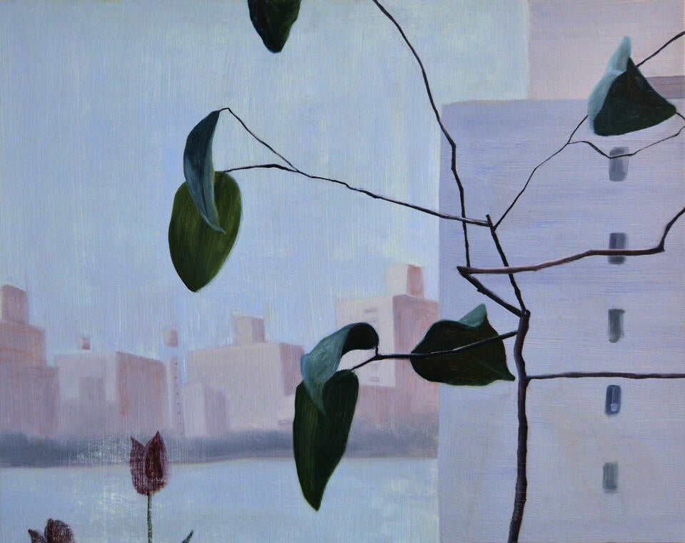 A lemon tree and tulips sit in front of a view of buildings across a reservoir.