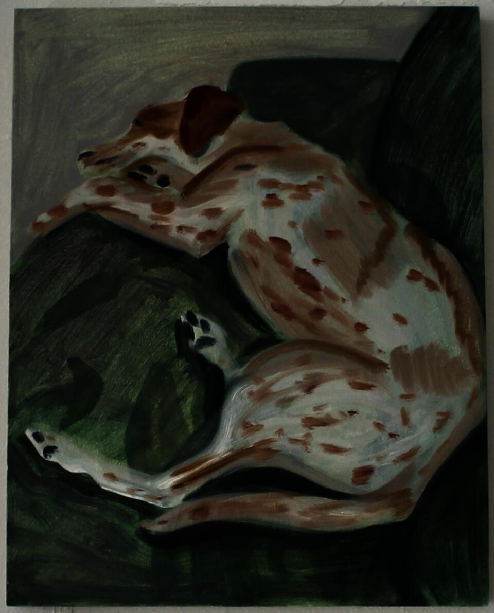 A dog sleeps on a green couch.