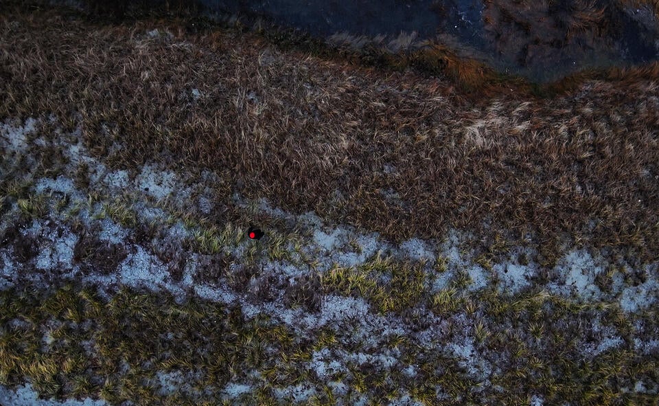 Drone footage of a person walking on a salt marsh.