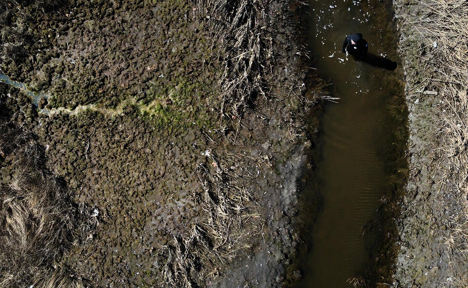 Drone footage of person standing in the middle of a salt marsh channel.