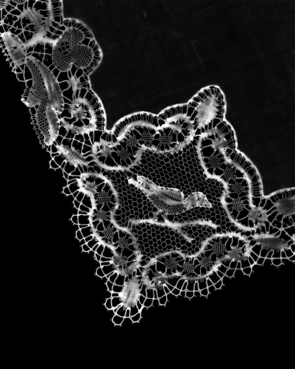 a darkroom-processed photogram print. Antique lace with an embroidered bird sitting on a branch.