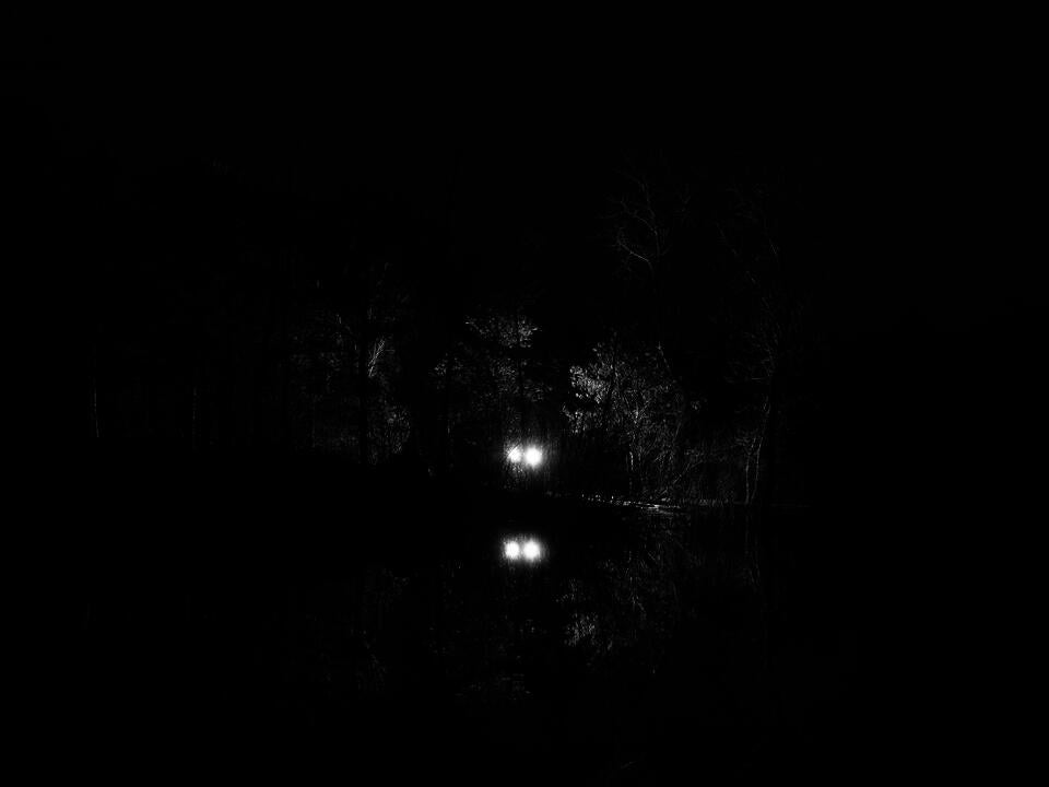 two glowing lights emerging from the woods at night near the shoreline of a lake