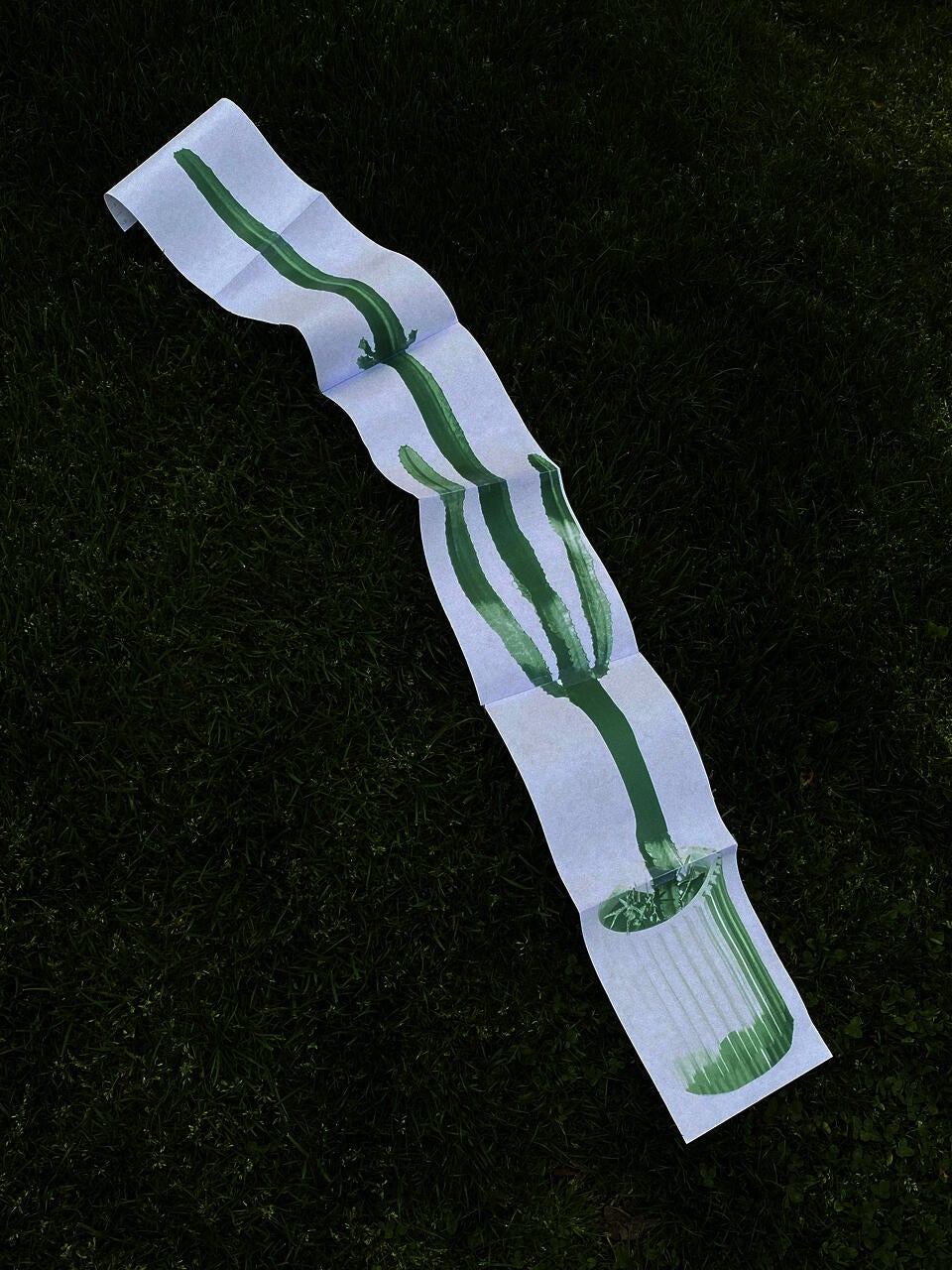 1:1 Cactus Print