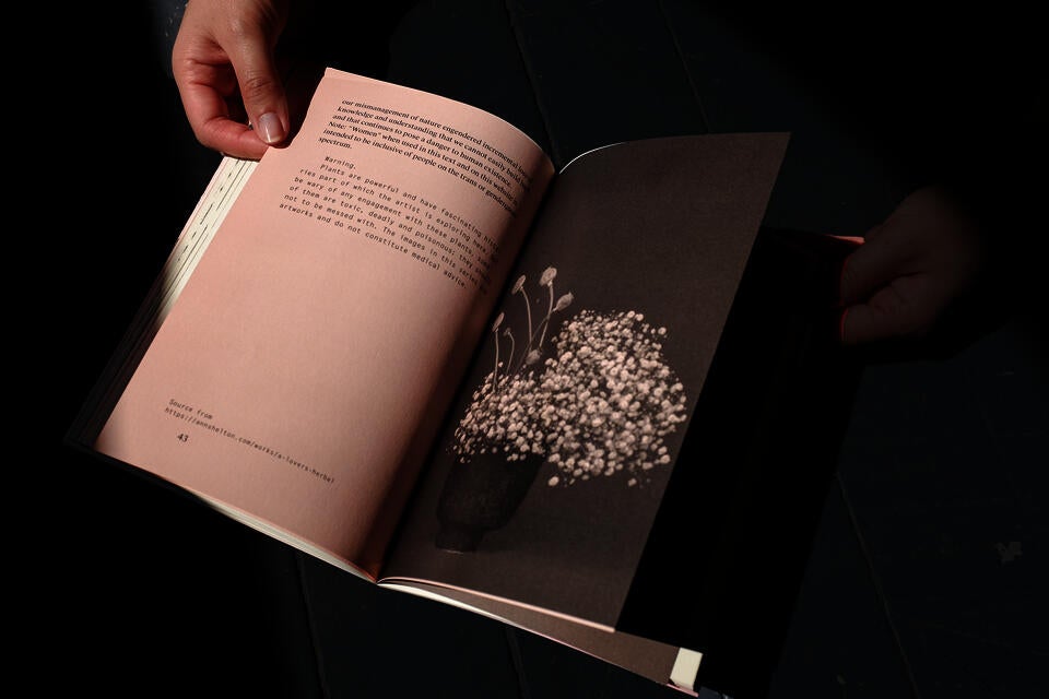 A close-up view of a book spread