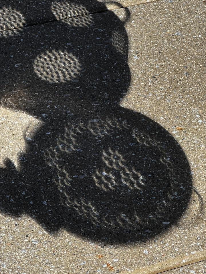 Simulated dappled light with a colander, Solar Eclipse 4/8/2024