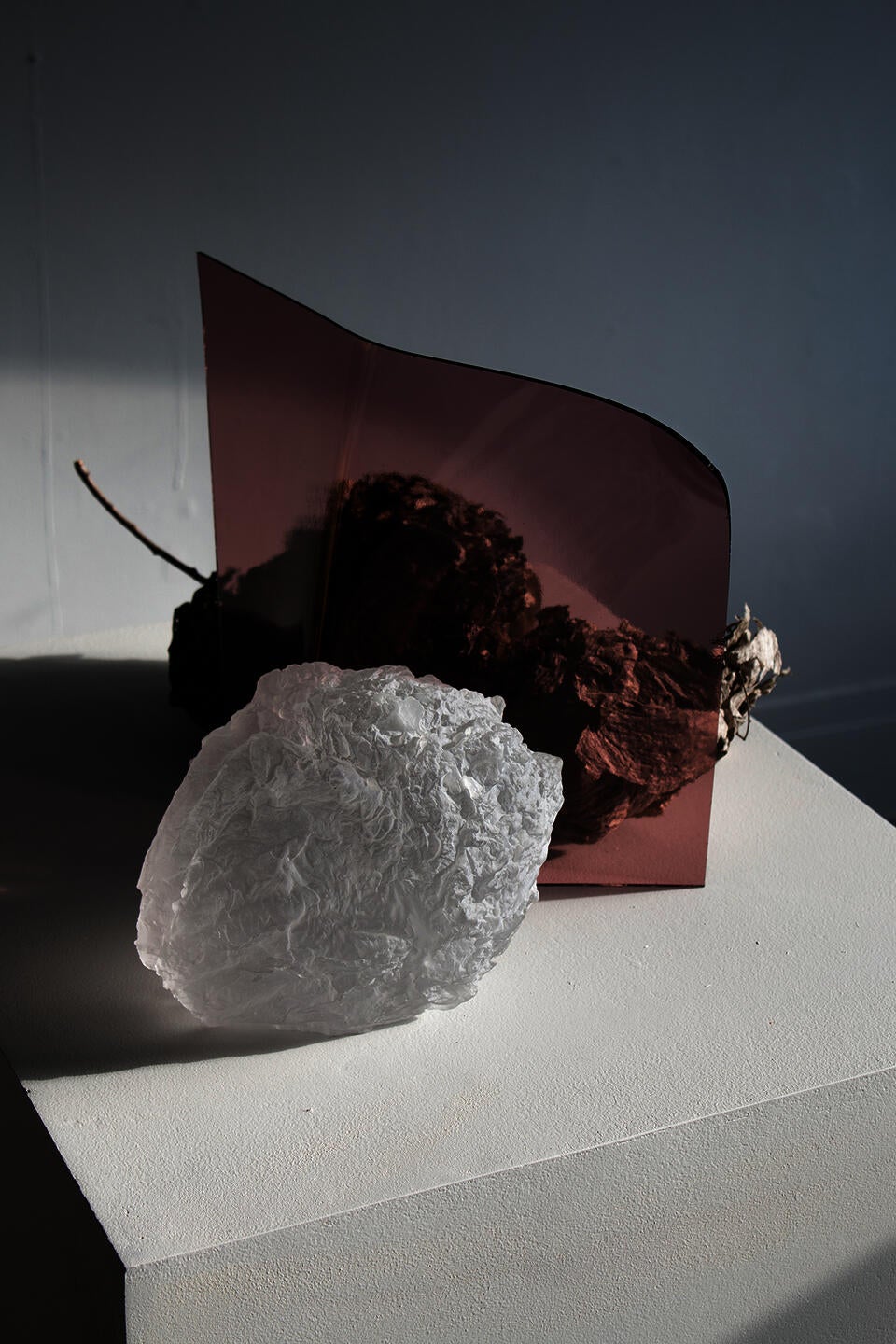 Glass Nest