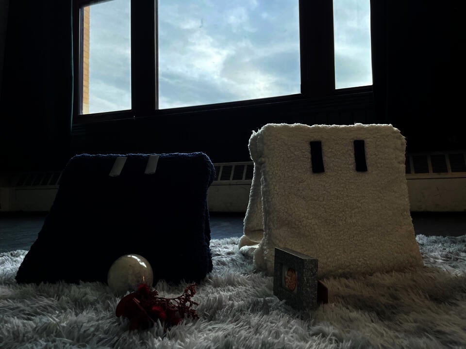 Stoolpies are waiting for you to come home.