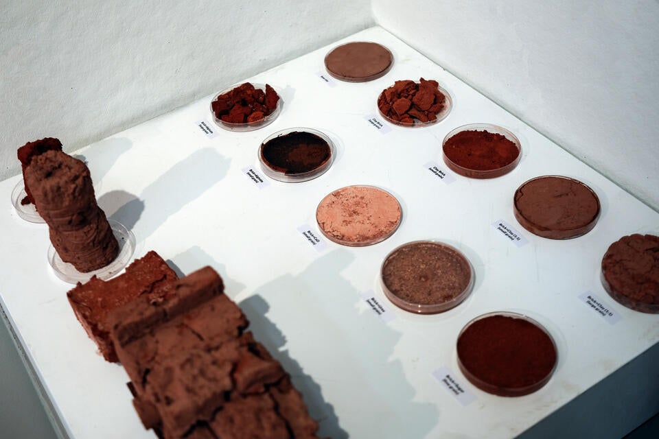 Biomaterial Research Based on Clay Bricks