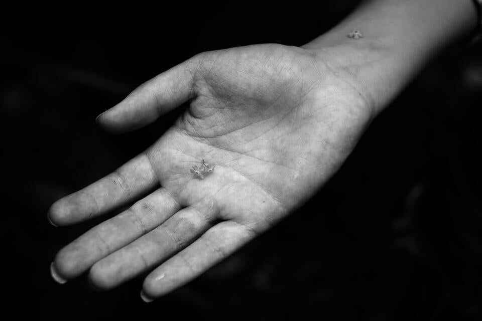A black and white image of a woman's hand, holding two forget me not flowers.