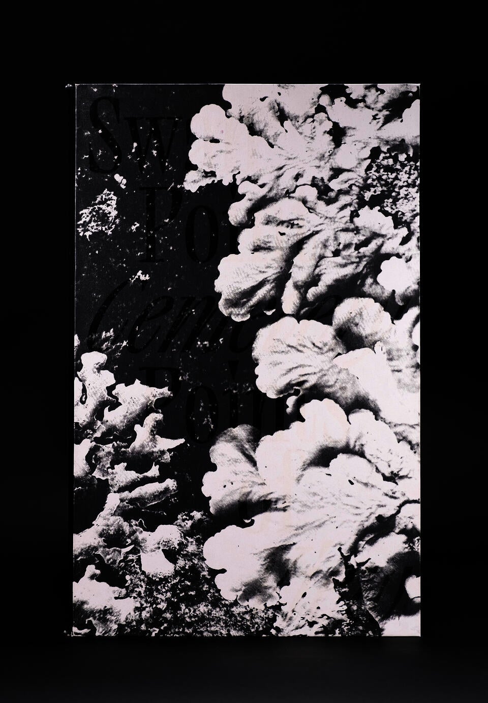 Cover with layered black text and high-contrast lichen imagery; reads “Swan Point Cemetery Points of View.”