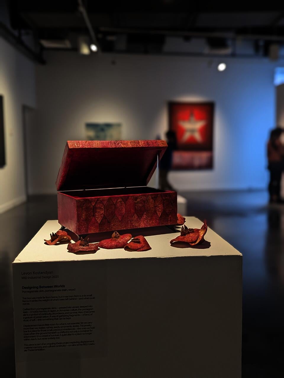 Jewelry box made of pomegranate skin sits open on a white pedestal, surrounded by dried skins in a gallery setting.