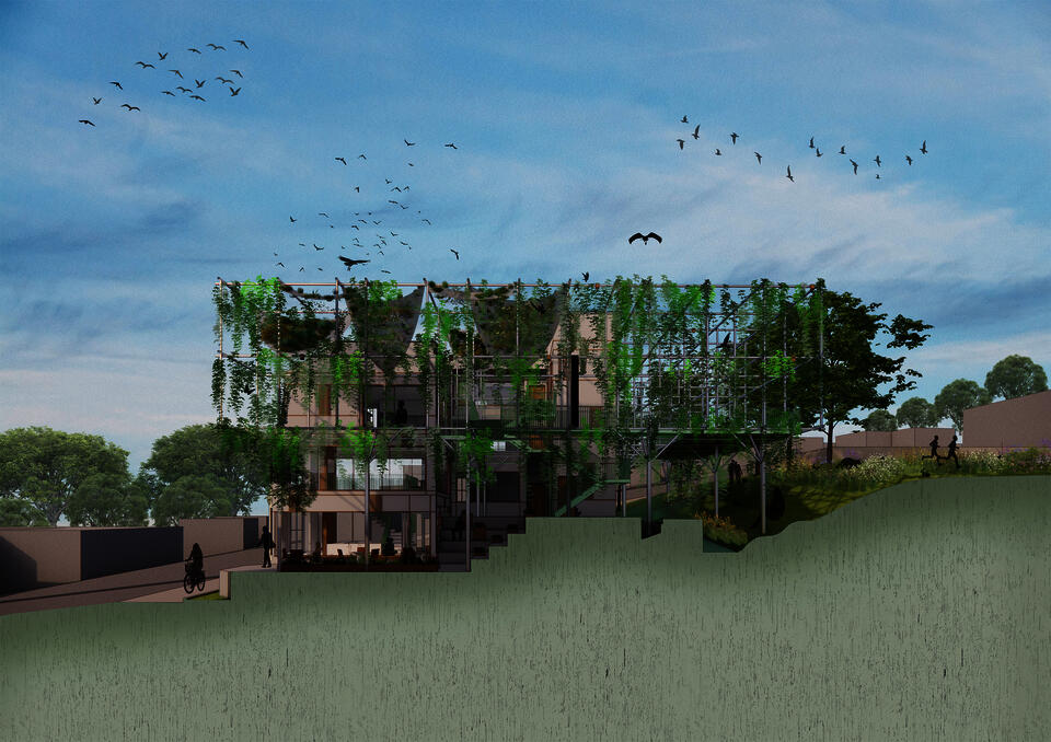 Section perspective collage of what the project is expected to look like after 5 years with nature prospering. 