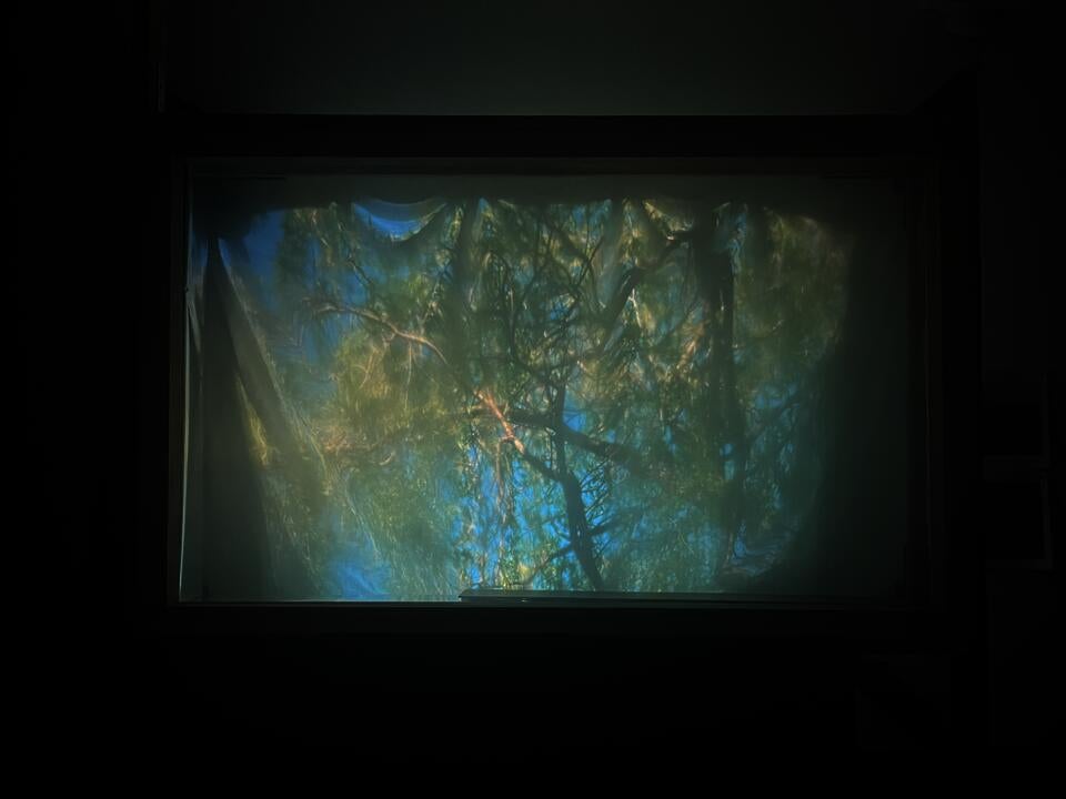 Video projection within a window-like frame on a 10×10 ft wall, layered with translucent fabric that softens the moving image