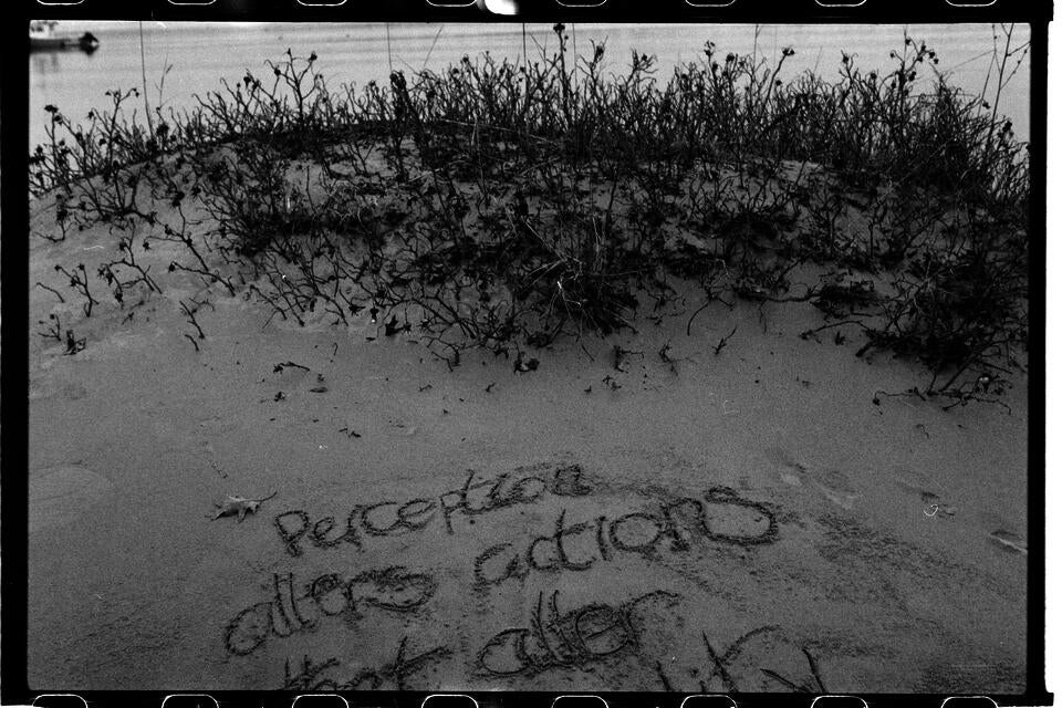 A film photo of "Perception alters actions that alter" written in the sand. The photo cuts off the end of the sentence. 