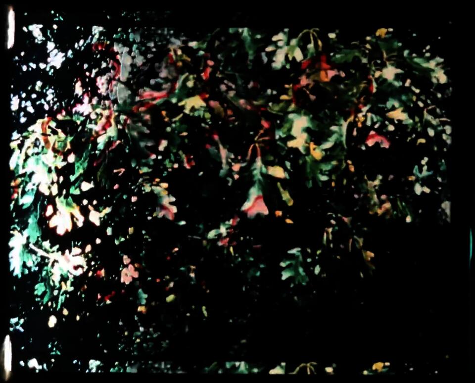 From Nayyab Naveed's experimental film Nurs Shehtoot (2025)