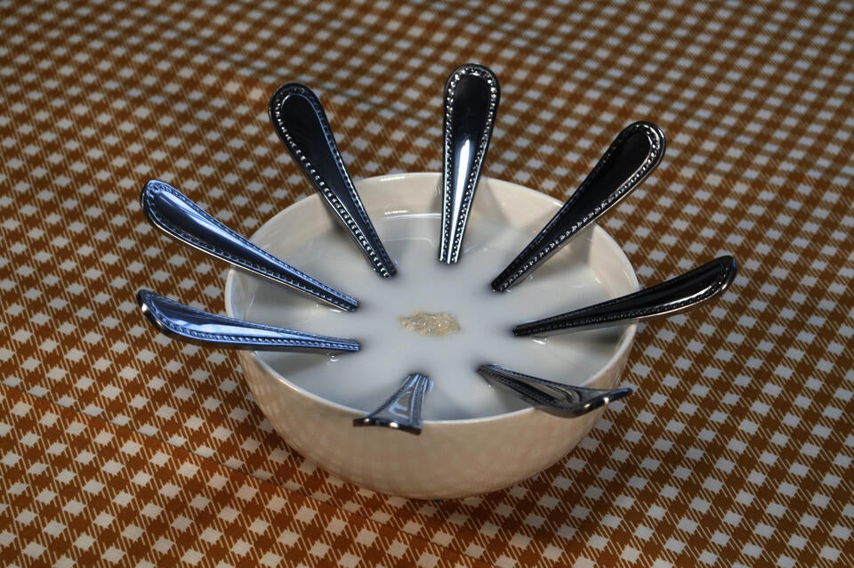 A cereal bowl with 8 spoons surrounding a single pearl-looking corn flake floating in the middle.