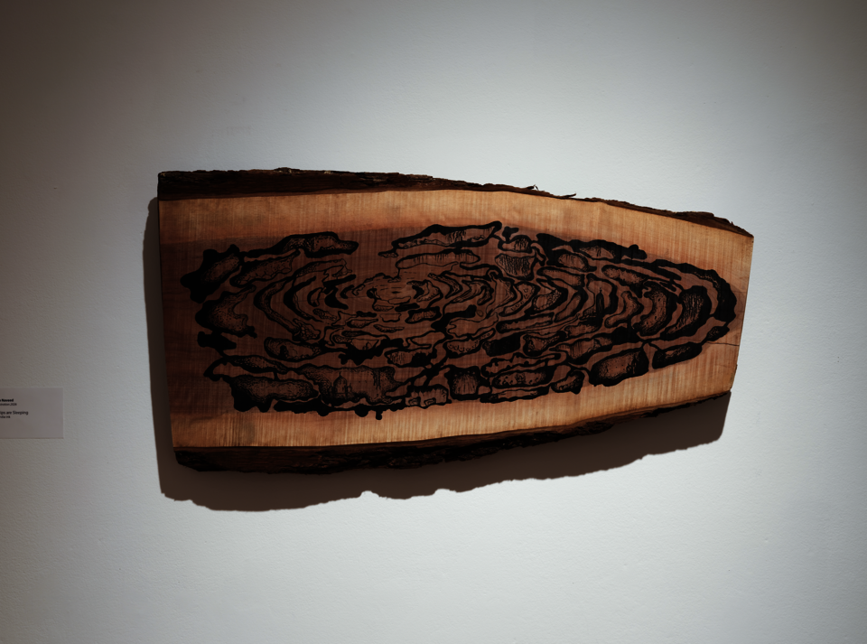 A live-edge wood slab mounted on a white gallery wall, its bark edges intact on all sides. The warm honey and rose tones of the sanded wood surface are left largely exposed, with a single central form