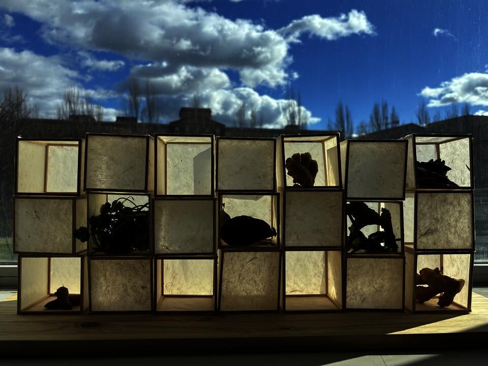 Cubes made of translucent Lokta paper are stacked to create a wall. Nestled inside each cube are spices (ginger, tumeric, chili, mint, and kaffir lime) creating a spice wall.
