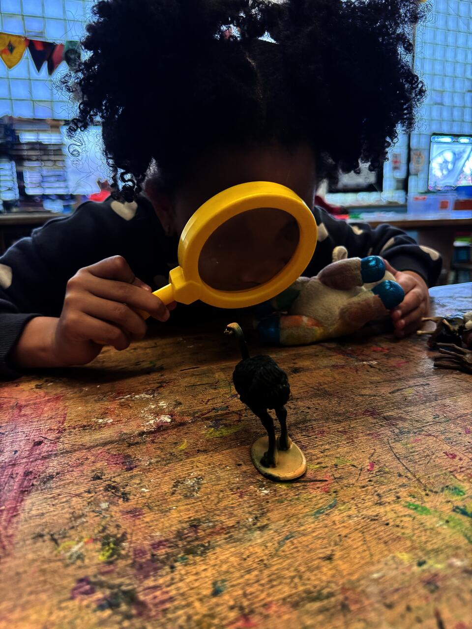 Elementary student sitting at a desk looking at an ostrich toy through a magnifying glass.